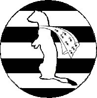 73388374_464326104185750_3885393807289614336_n